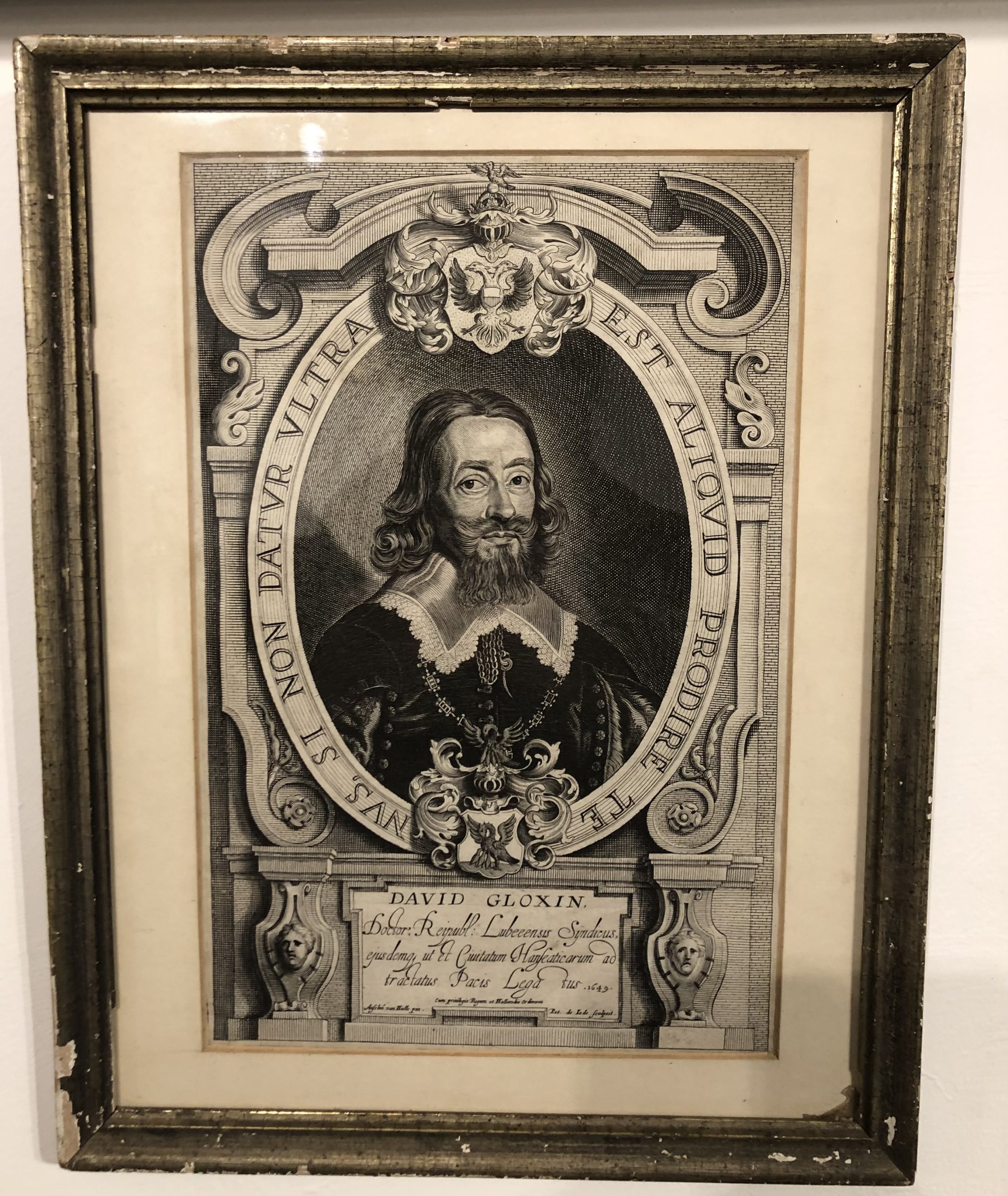 Engraving of David Gloxin c1650 »